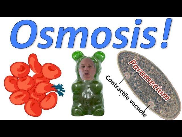 Osmosis! Rap Science Music Video