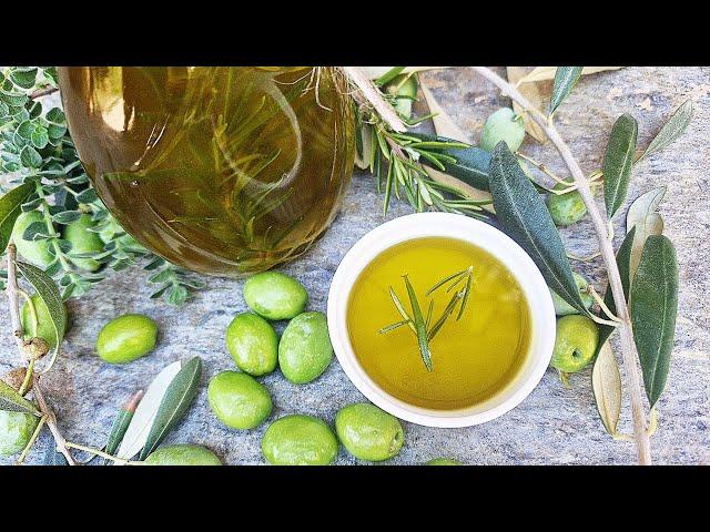 Φτιάχνω Ελαιόλαδο Στο Σπίτι - How to Make Olive Oil at Home Eπ. 686 | Σταυρούλα Ζεγκίν