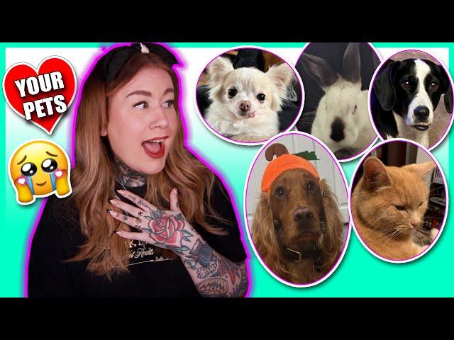 Pet Enthusiast Reacts To: Subscribers Pets 1