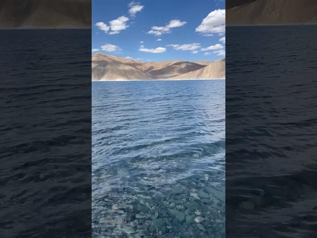 Pangong Tso lake~Ladakh,India️. #shorts