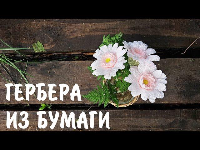 Гербера из бумаги I Мастер-класс I Gerbera DIY