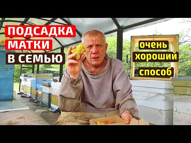 Подсадка матки Не 100% но 99% гарантия