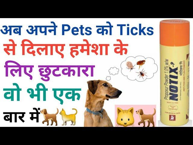 Notix Ticks And Flea Powder Review||How To Remove Ticks From Dog & Cats||