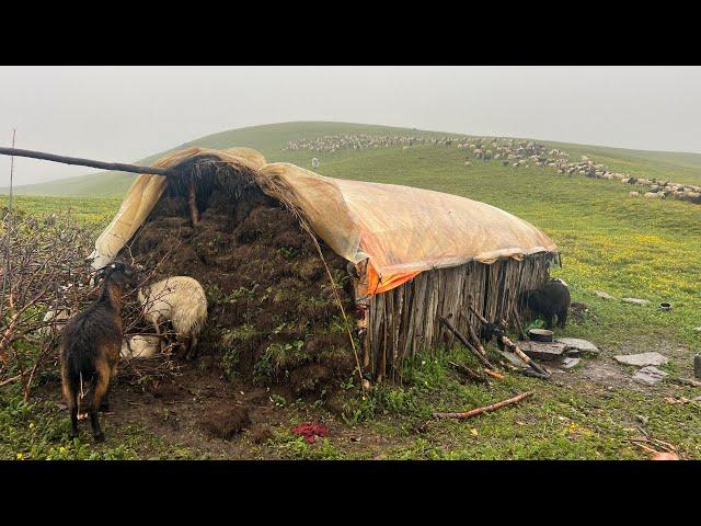 Nepali Mountain Village Life | Rainy Day | Sheep Shepherd Life | Organic Shepherd Food | Real Life |