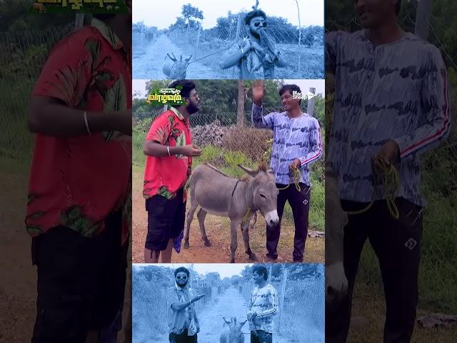ஹே Bhaiya இந்தா கொய்யா  | Blacksheep Value OTT