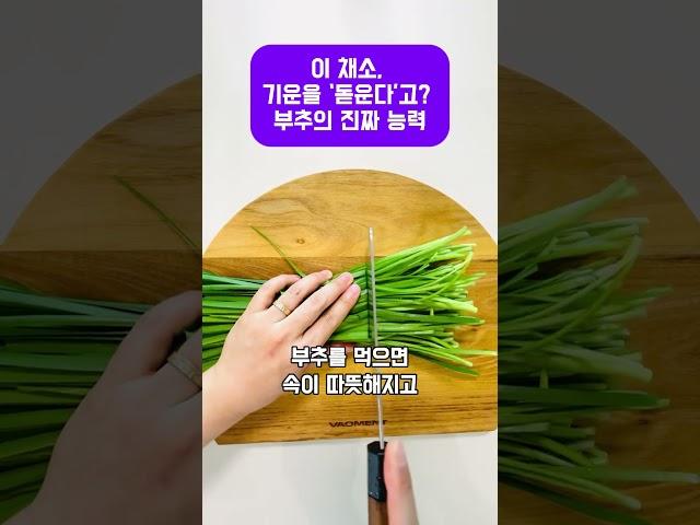 이 채소, 기운을 ‘돋운다’고? 부추의 진짜 능력 #부추전 #건강채소