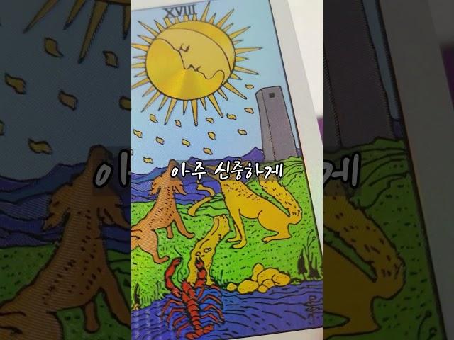 18번 달 카드 the moon  #타로배우기 #tarot #타로카드배우기