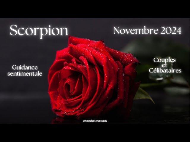 Scorpion ️ Novembre 2024 ️ Clarifier, guérir, apaiser. Nouvelles bases 