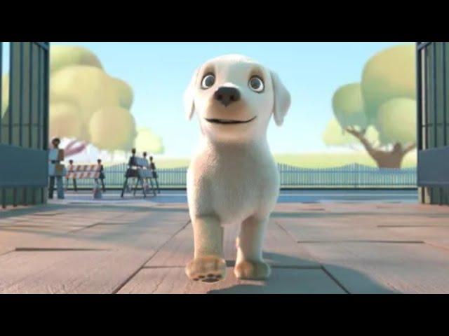 PIP the dog || the short animated film by BSM HOME