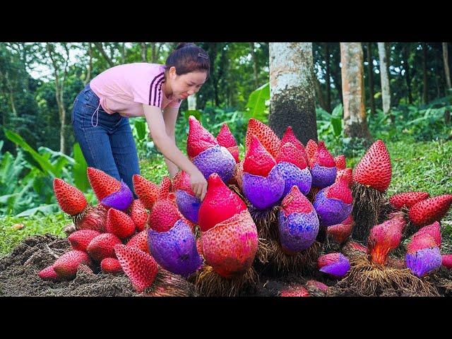 Harvesting Fiery Monster Shoots in the Dense Jungle & Go to Market Sell | Harvesting Farm Produce