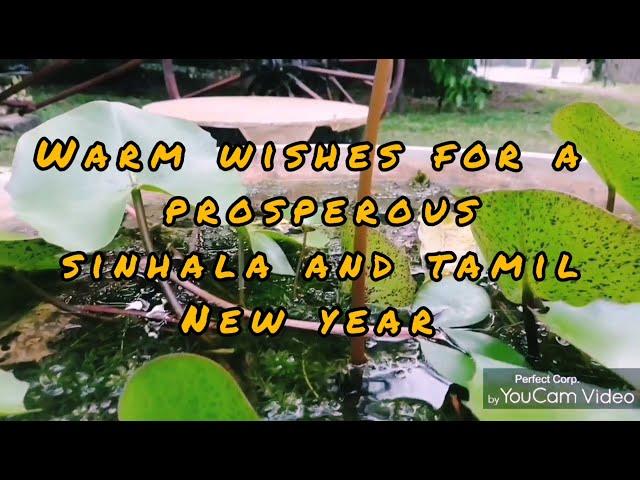 Awrudu cover /Vishwa kularathna /Teri mitti Raban mix/සුභ අලුත් අවුරුද්දක් වේවා..