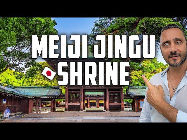 Meiji Jingu | SECRETS of Meiji Shrine & Jungle Walk Tour in Tokyo