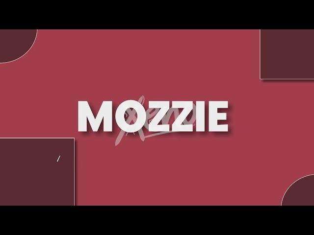 mozzieVT | simple intro | xenofx