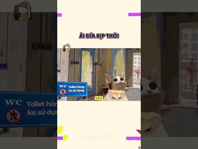 Ải đía kịp thời | Cheems Nhân Văn