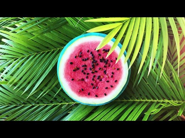 Showreel | So Daze Stop Motion Studio