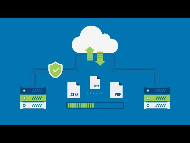 Diplomat MFT Explainer Video | Doodle Video Production