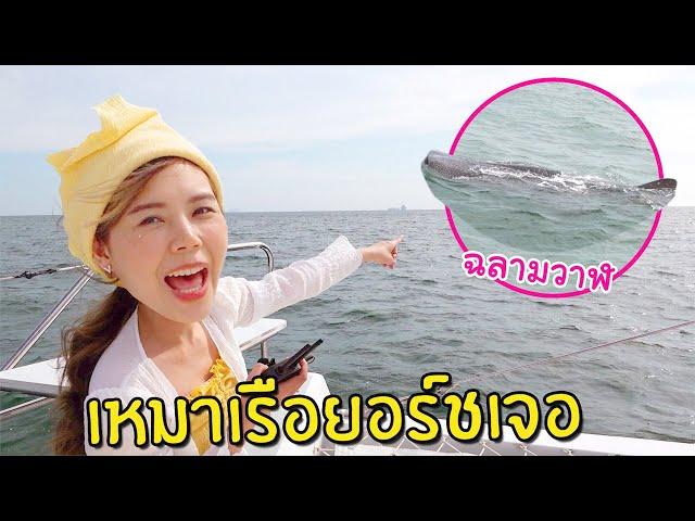 Searching For the Whale Shark on the Yatch #2 | A Trip to Krabi