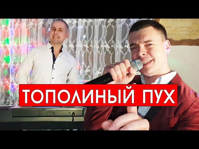 Иванушки Int. - Тополиный пух (cover Виталий Лобач и А.Дунаев)