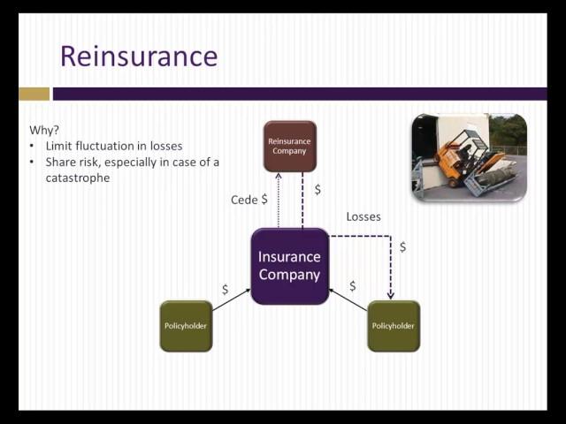 Analysis of insurance companies