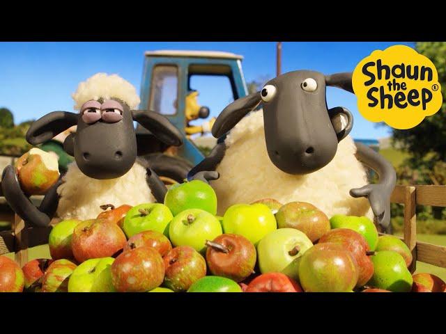 Shaun the Sheep  Apple Pie? - Cartoons for Kids  Full Episodes Compilation [1 hour]