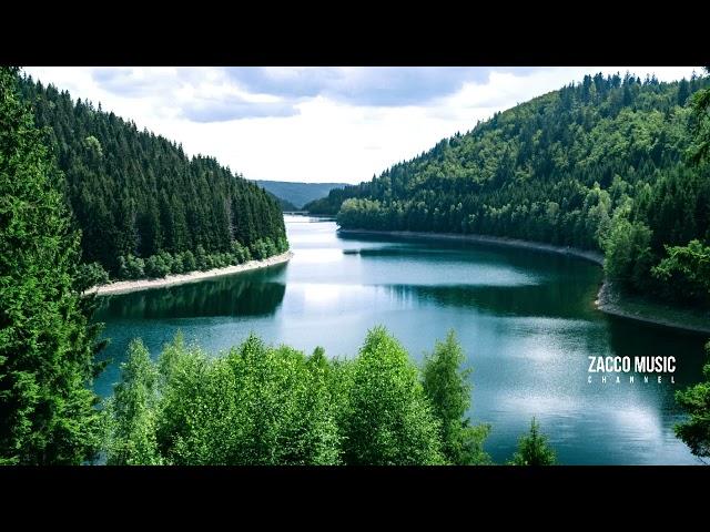 Relaxation Music Instrument with Nature Sounds 1 Hour Loop