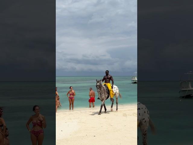 African giant spotted at beach ️ #abba #travel #motivation #beach #love #shorts