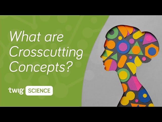 What are Crosscutting Concepts? | Twig Science