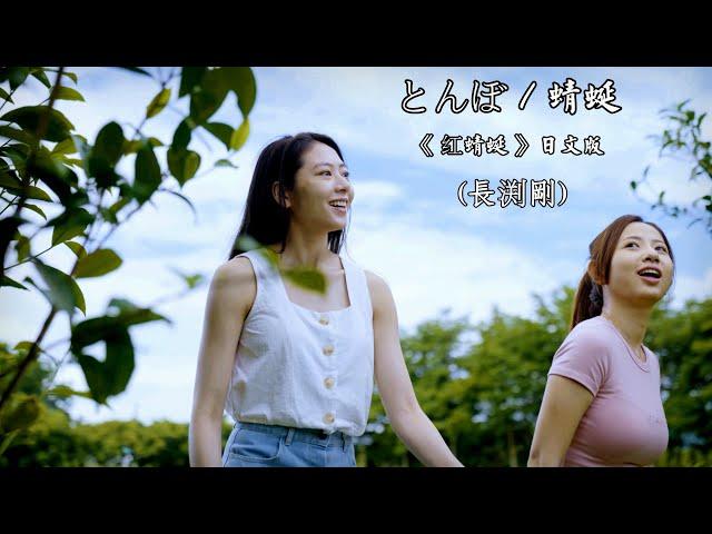 とんぼ / 蜻蜓  (長渕剛)【红蜻蜓 - 日文版 (中文翻譯)《花東觀光圈宣傳影片》】(4K 5.1聲道)