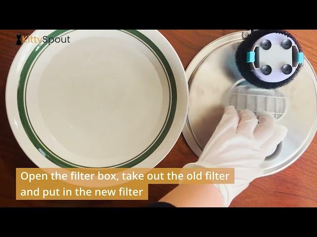 KittySpout | How To Change Filters