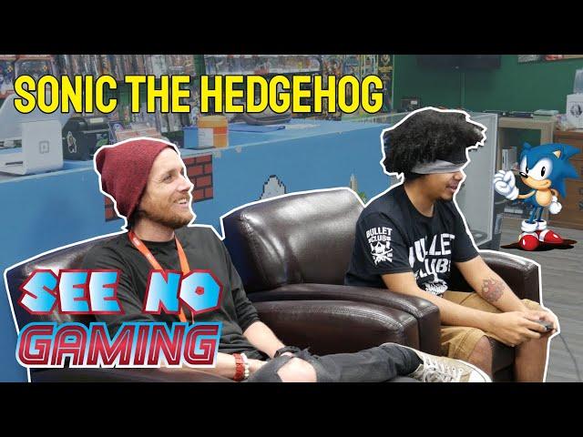 Two Idiots & A Blindfold Vs. SONIC THE HEDGEHOG | See No Gaming