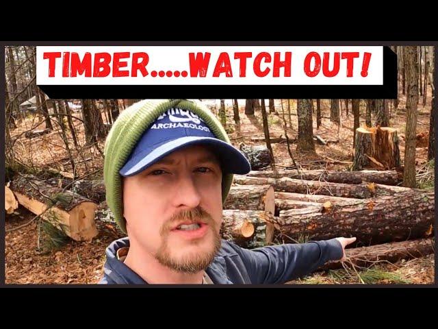 TIMBER...WATCH OUT! / HOMESTEAD LIFE AND TREE WORK