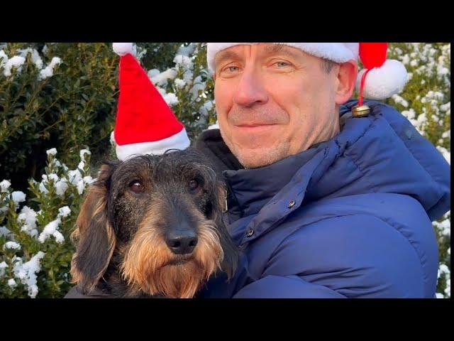 Dachshund Teddy's Christmas Hat Comedy Show