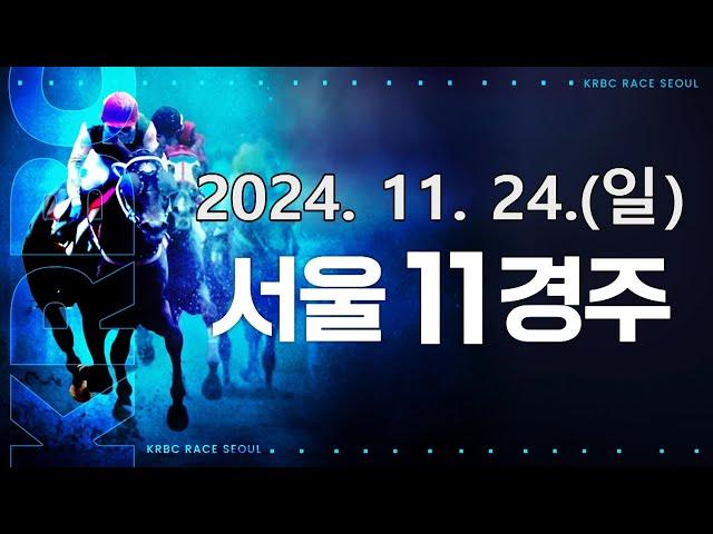 (서울) 2024.11.24 11경주