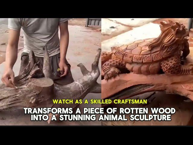 "Watch as a Skilled Craftsman transforms a piece of rotten wood into a stunning animal sculpture|