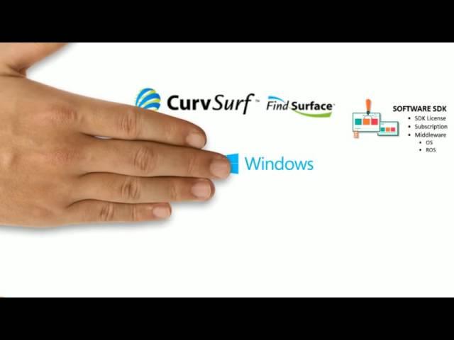 CurvSurf Introduction 2016