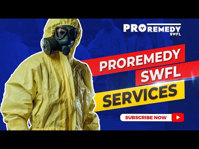 ProRemedy SWFL Services | Disaster Remediation Company in Southwest, Florida