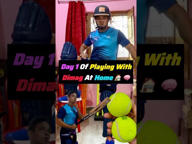 Day 1 Of Playing With Dimag At Home  #cricket #minivlog #cricketmeme #cricketshorts #minivlog