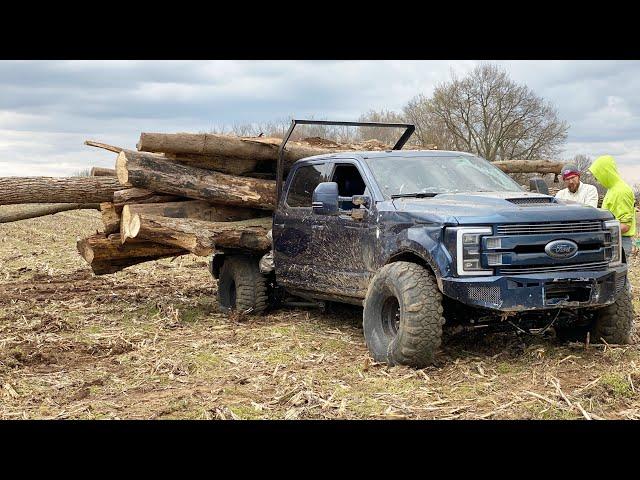 EXTREME LOGGING with the AnyLevel F350 (10TON HAUL)