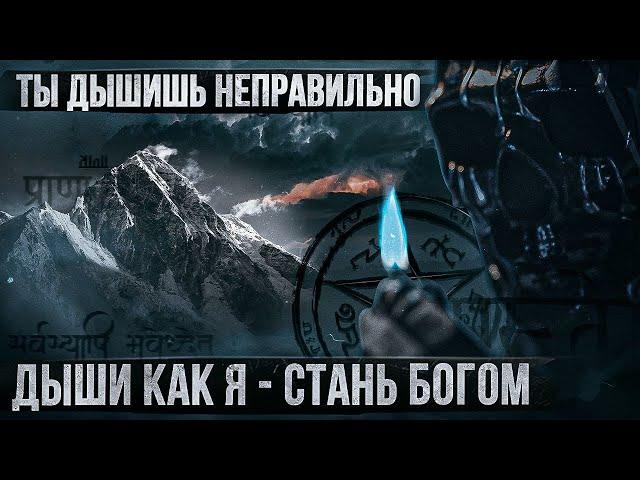 Учу вас дышать: успех, власть, сила. Измени свою жизнь навсегда. Мориарти.