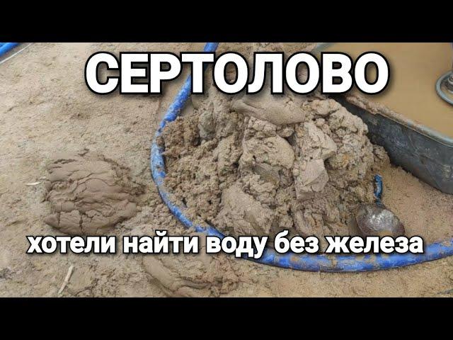 Много воды в Сертолово / Бурение скважин в Ленинградской области