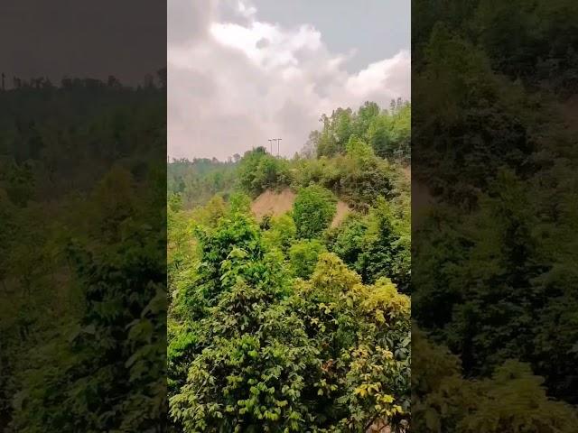 https://youtube.com/shorts/JHrsAJ5PhDc?feature=share