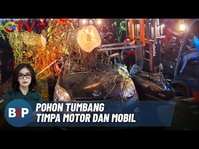 Pasutri Tewas Akibat Kendaraan Tertimpa Pohon Tumbang di Malang - BIP 30/11