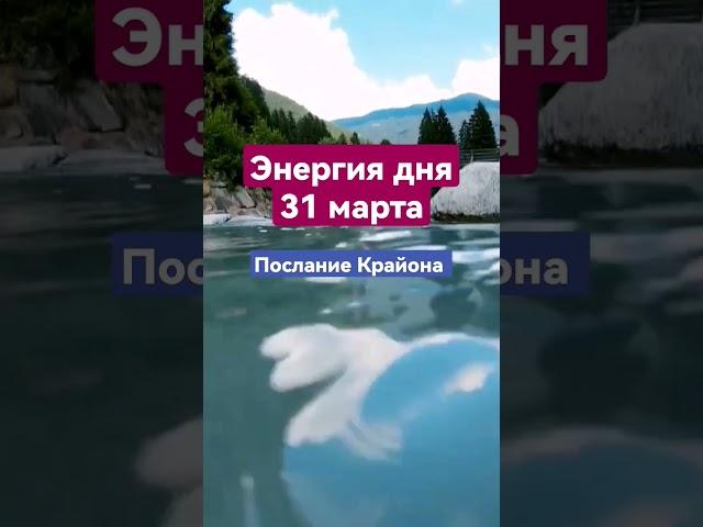 Полное видео на канале @kris_probiz #мудростьжизни #законывселенной #крайон