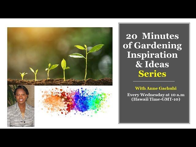 20 Minutes of Gardening Inspiration and Ideas