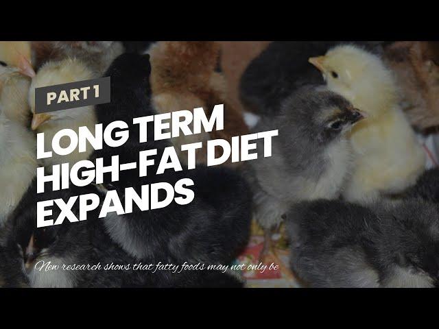 Long term high-fat diet expands waistline and shrinks brain