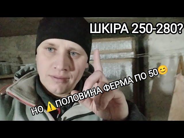 ОБЕРЕЖНО 25 років НА РИНКУ НЕ АФЕРИСТ. НЕ ТИПОВИЙ РЕМОНТ ПІДЛОГИ В КРОЛЯТНИКУ