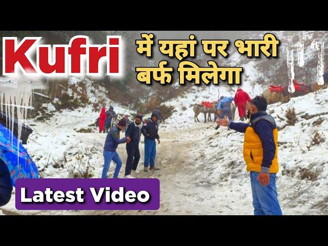 Kufri Shimla Snowfall में टूरिस्ट की मौज | Kufri Latest Snowfall | Kufri Snowfall #shimla