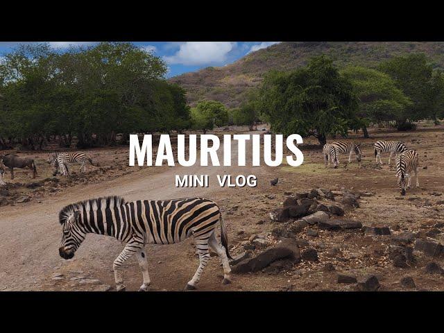 Mauritius Uncovered: Hidden Gems & Must-See Spots | Mini Travel Vlog in 4k