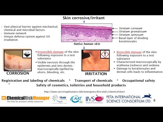 Skin Irritation and Corrosion