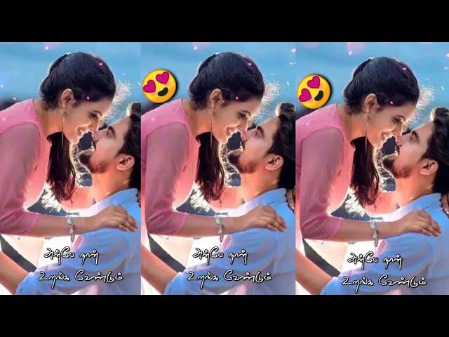 Instagram lyrics video Editing Alight Motion | Text Transform | Alight Motion New Text Editing tamil